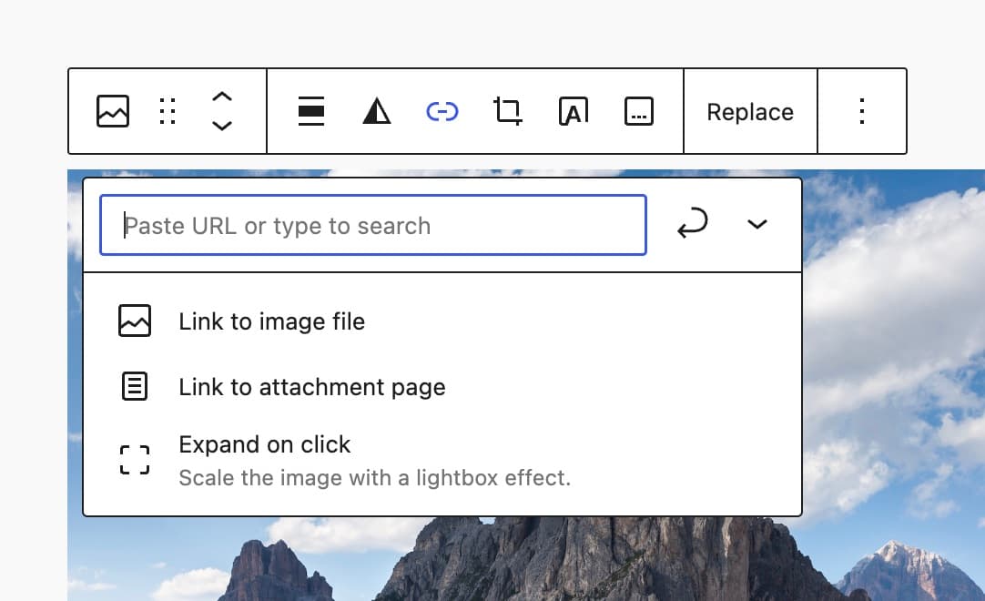 The Image block link control.